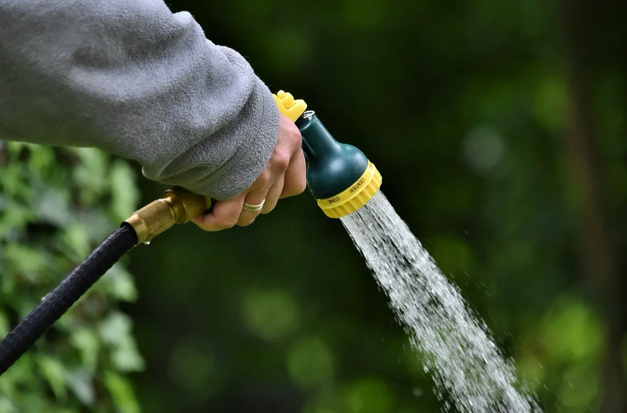 1000 Gärten für die Regenwassernutzung: Nachhaltige Wassernutzung für eine grünere Zukunft